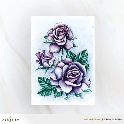 Release Bundle December 2025 Full Release Bundle