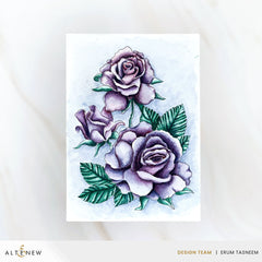 Release Bundle December 2025 Full Release Bundle