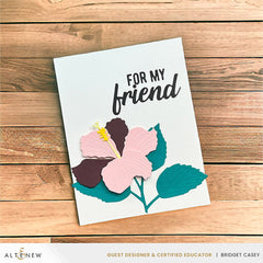 Release Bundle Marvelous Monthly Series Bundle - February 2024