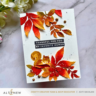 Release Bundle Marvelous Monthly Series Bundle - September 2025