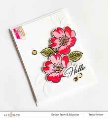 Release Bundle Mini Wild Dog Rose
