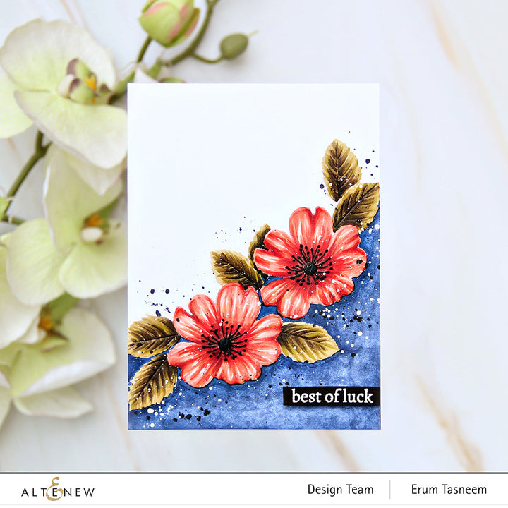 Release Bundle Mini Wild Dog Rose