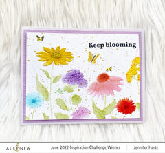 Release Bundle Playful Wildflower