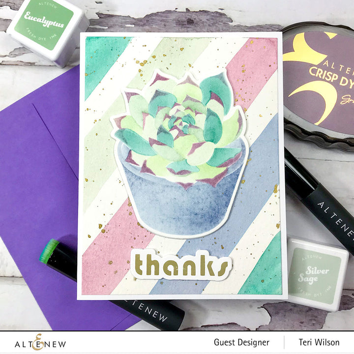Spark Joy Bundle Spark Joy: Potted Succulent & Add-on Die Bundle