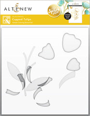 Spark Joy Spark Joy: Cupped Tulips