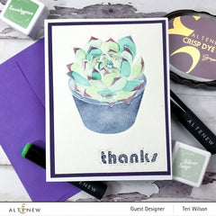 Spark Joy Spark Joy: Potted Succulent