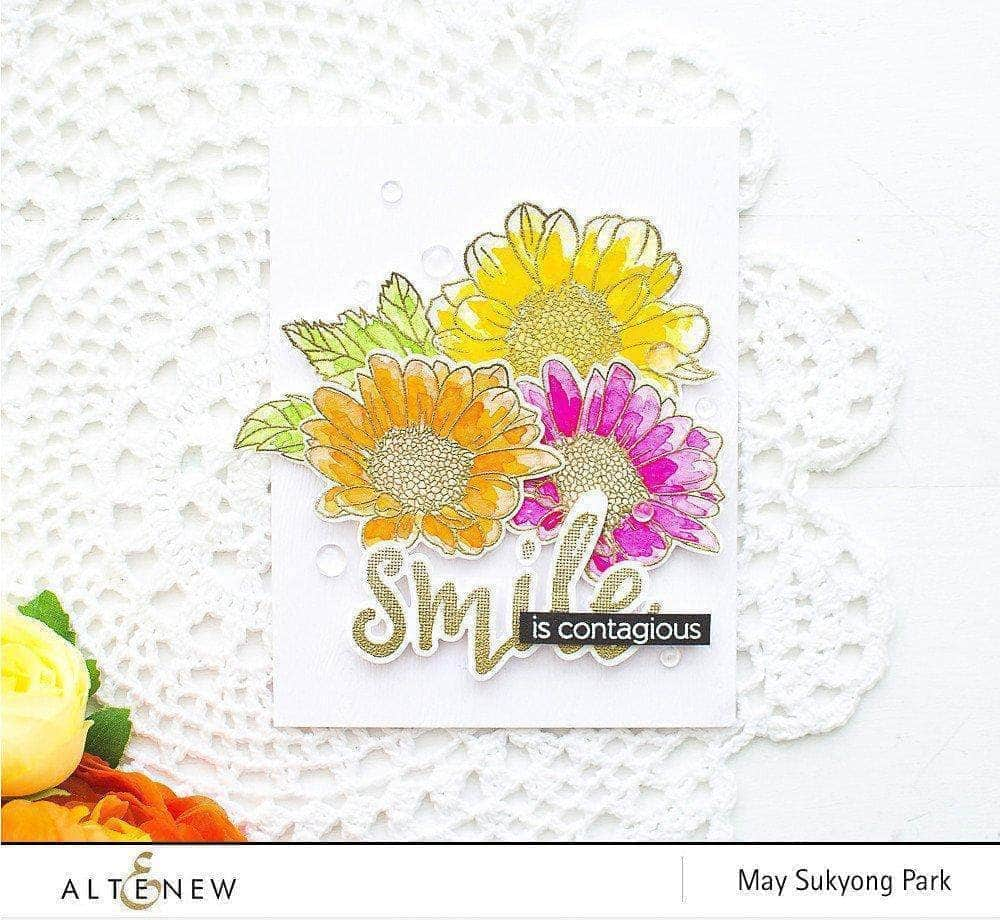 Stamp & Alcohol Marker Bundle Artist Alcohol Markers Set E & Spring Daisy Stamp Set Bundle