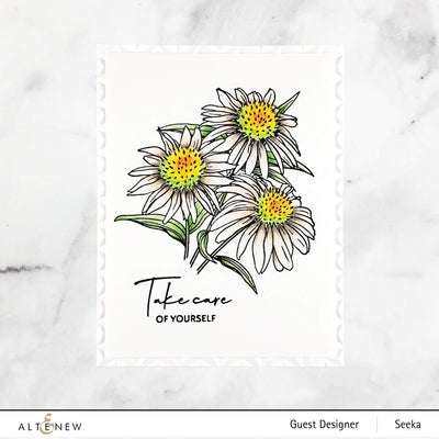 Stamp & Art Supplies Bundle Paint-A-Flower: White Swan Echinacea & Monochrome Shading Pencils Bundle