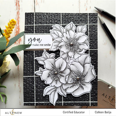 Stamp & Art Supplies Bundle Paint-A-Flower: White Swan Echinacea & Monochrome Shading Pencils Bundle