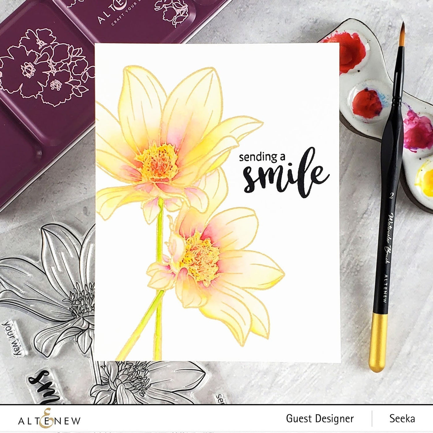 Stamp & Coloring Pencil Bundle Paint-A-Flower: Dahlia Bright Eyes & Woodless Coloring Pencils Bundle