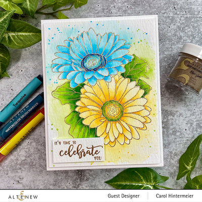 Stamp & Coloring Pencil Bundle Paint-A-Flower: Gerbera Revolution & Woodless Coloring Pencils Bundle