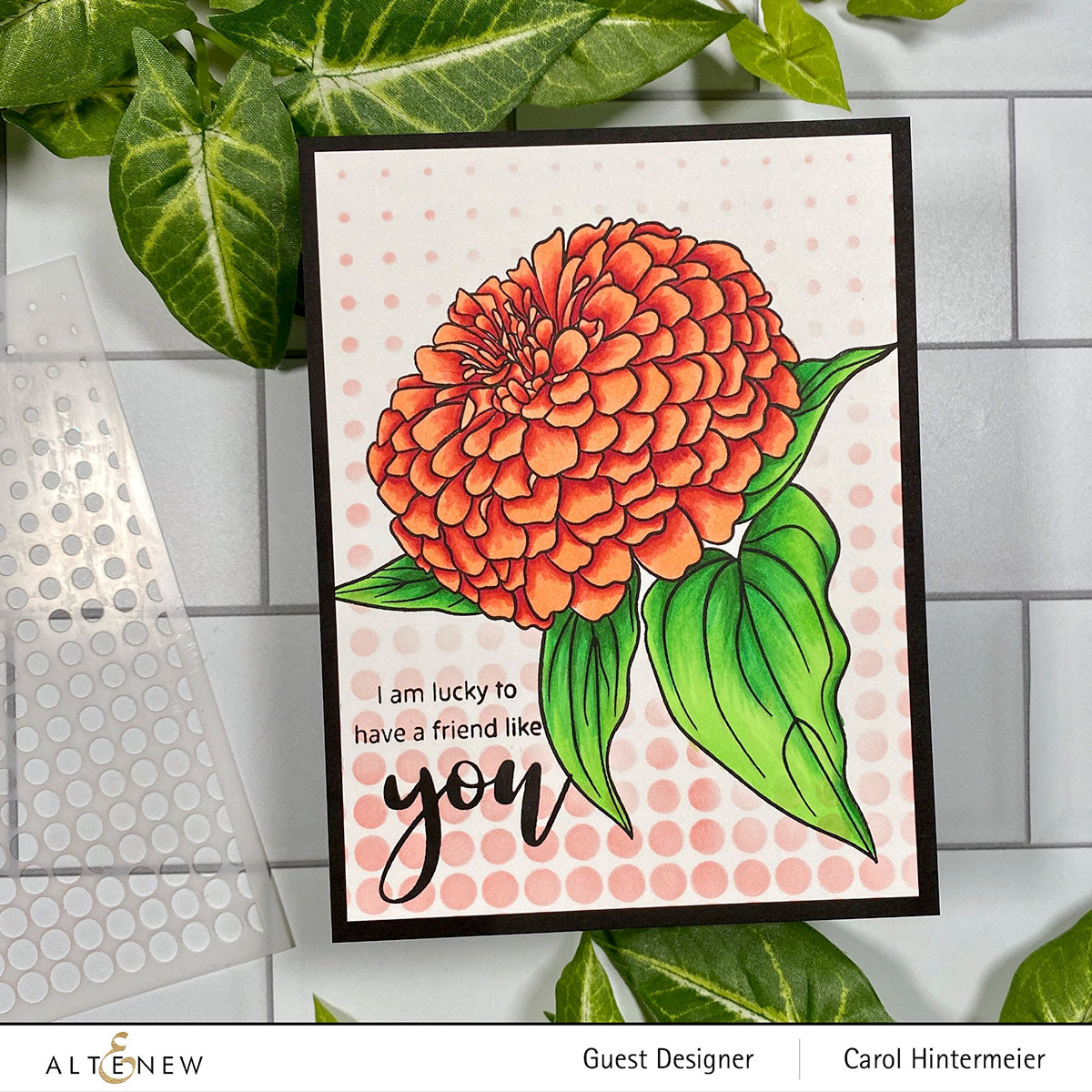 Stamp & Coloring Pencil Bundle Paint-A-Flower: Zinnia Magellan Rose & Woodless Coloring Pencils Bundle