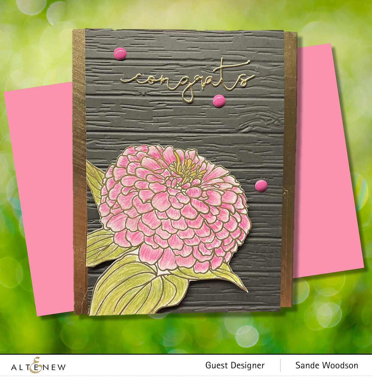 Stamp & Coloring Pencil Bundle Paint-A-Flower: Zinnia Magellan Rose & Woodless Coloring Pencils Bundle