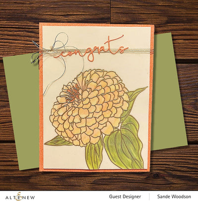 Stamp & Coloring Pencil Bundle Paint-A-Flower: Zinnia Magellan Rose & Woodless Coloring Pencils Bundle