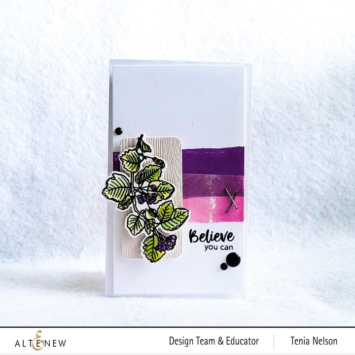 Stamp & Die Bundle Acai Berry