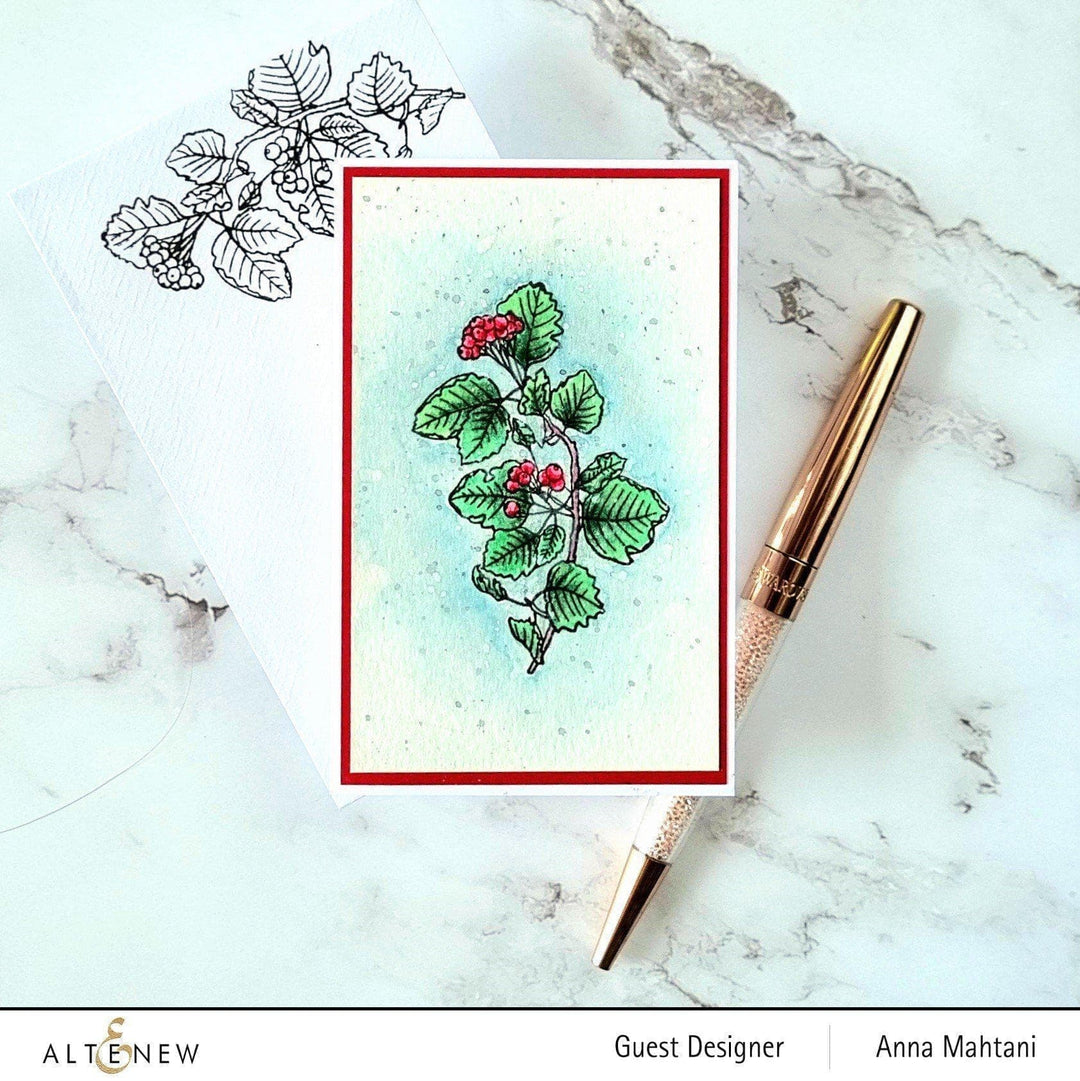 Stamp & Die Bundle Acai Berry