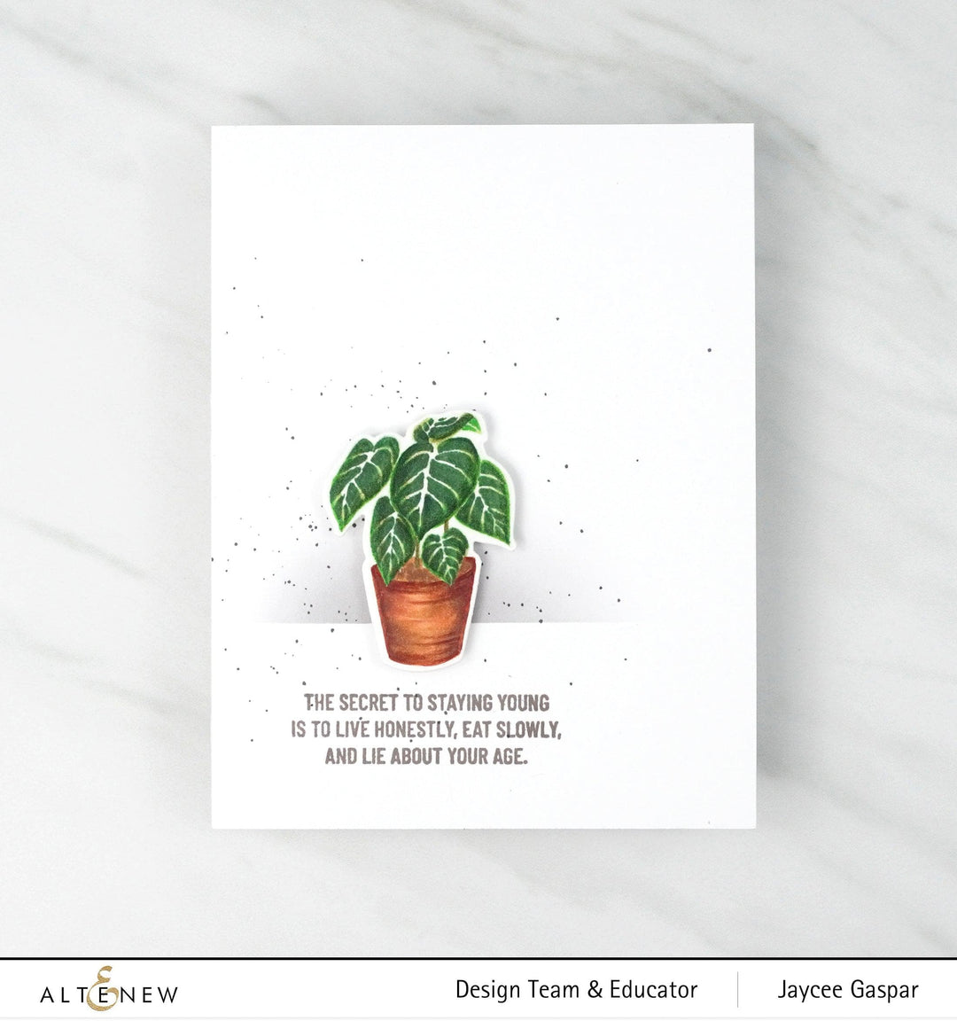 Stamp & Die Bundle Adorable Anthurium