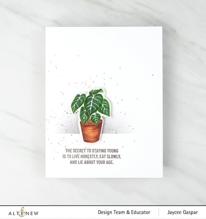 Stamp & Die Bundle Adorable Anthurium