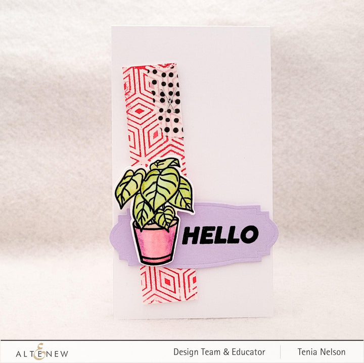 Stamp & Die Bundle Adorable Anthurium