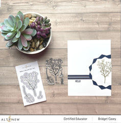 Stamp & Die Bundle Baby's Breath