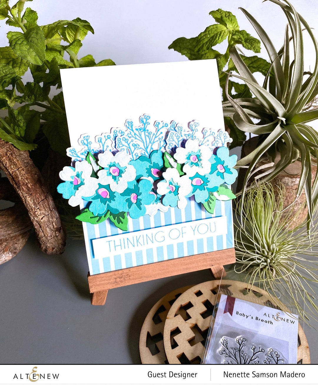 Stamp & Die Bundle Baby's Breath
