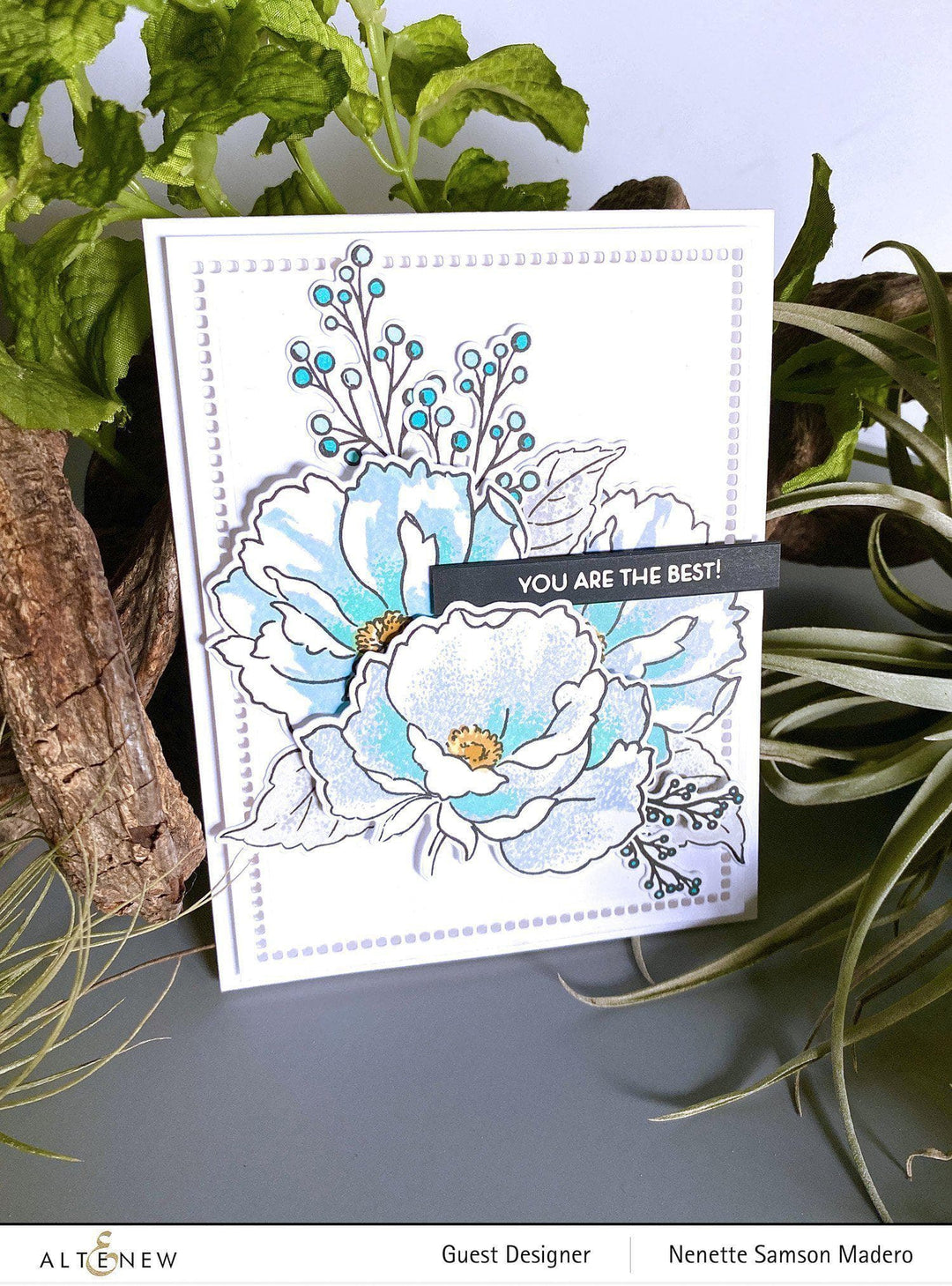 Stamp & Die Bundle Berry Branch