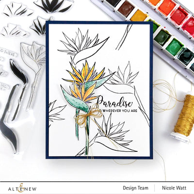 Stamp & Die Bundle Bird Of Paradise