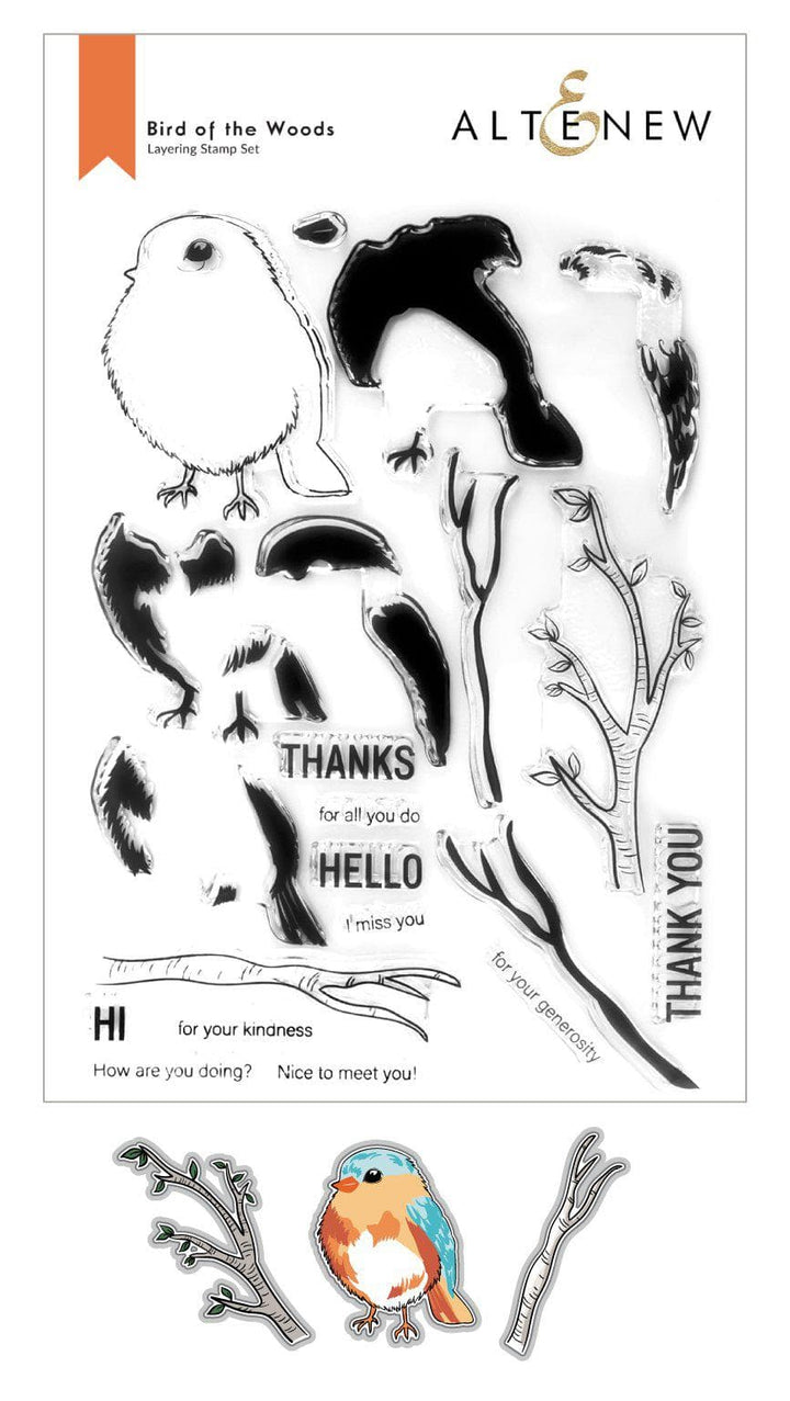 Stamp & Die Bundle Bird Of The Woods