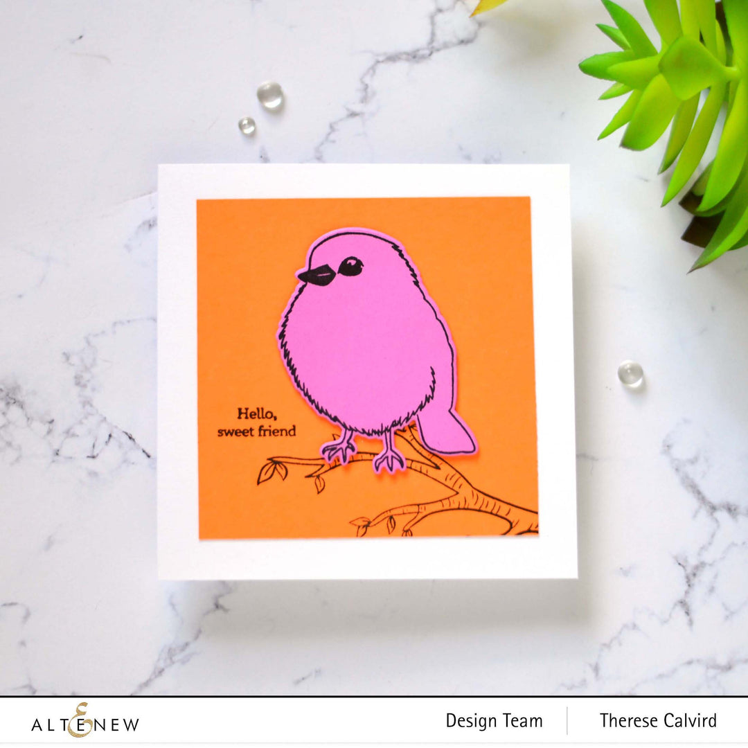 Stamp & Die Bundle Bird Of The Woods