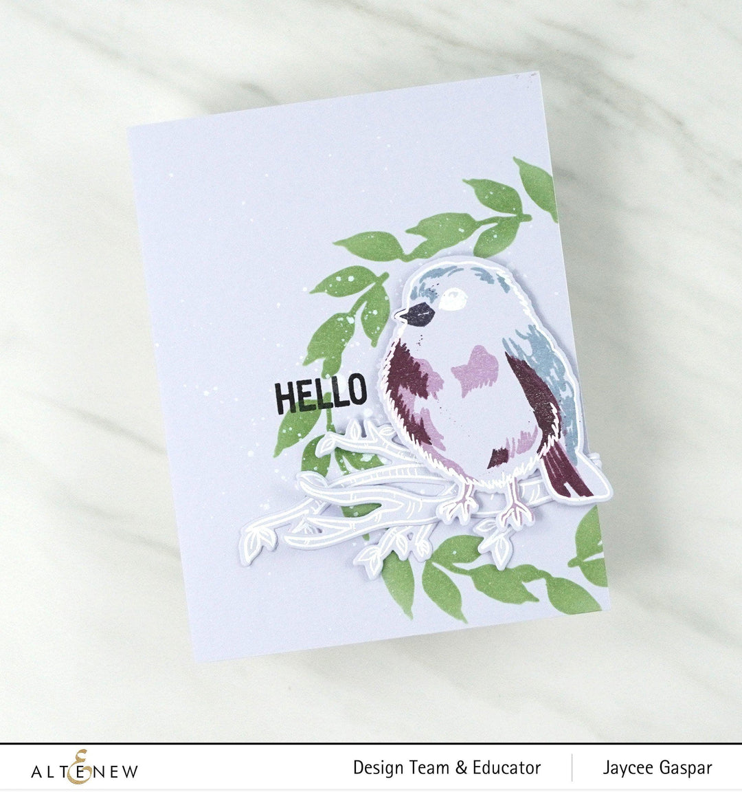 Stamp & Die Bundle Bird Of The Woods