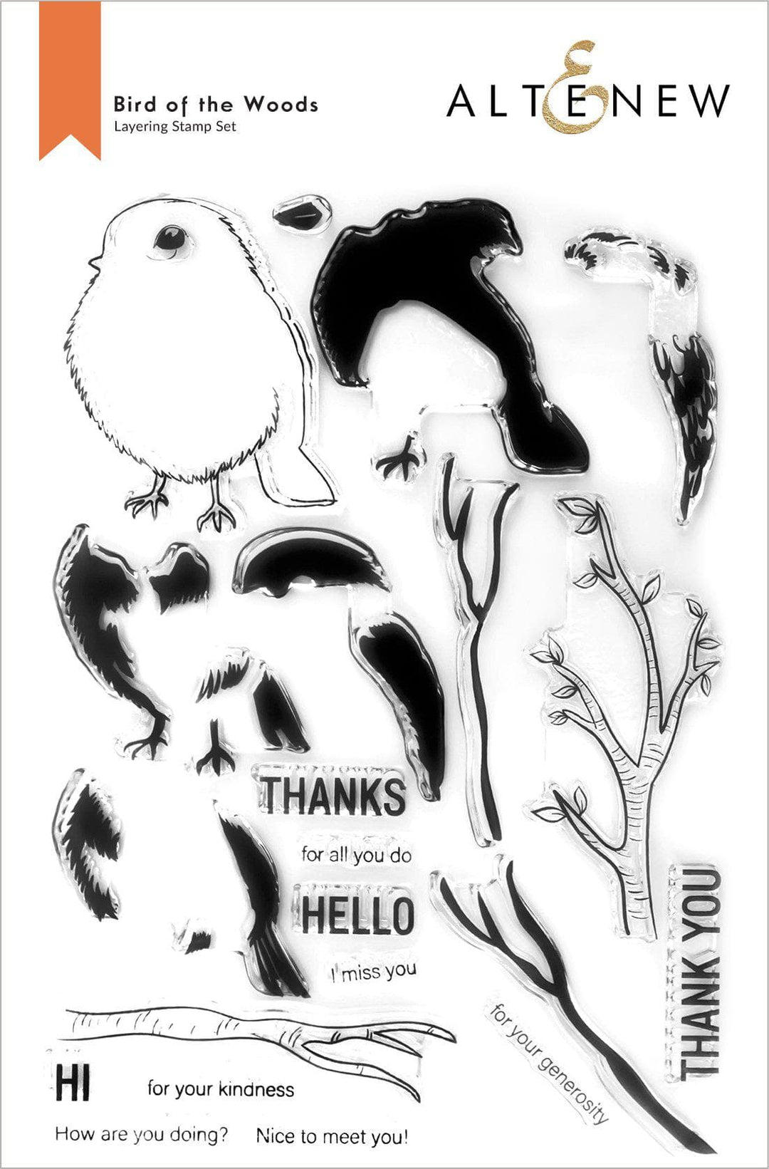 Stamp & Die Bundle Bird Of The Woods