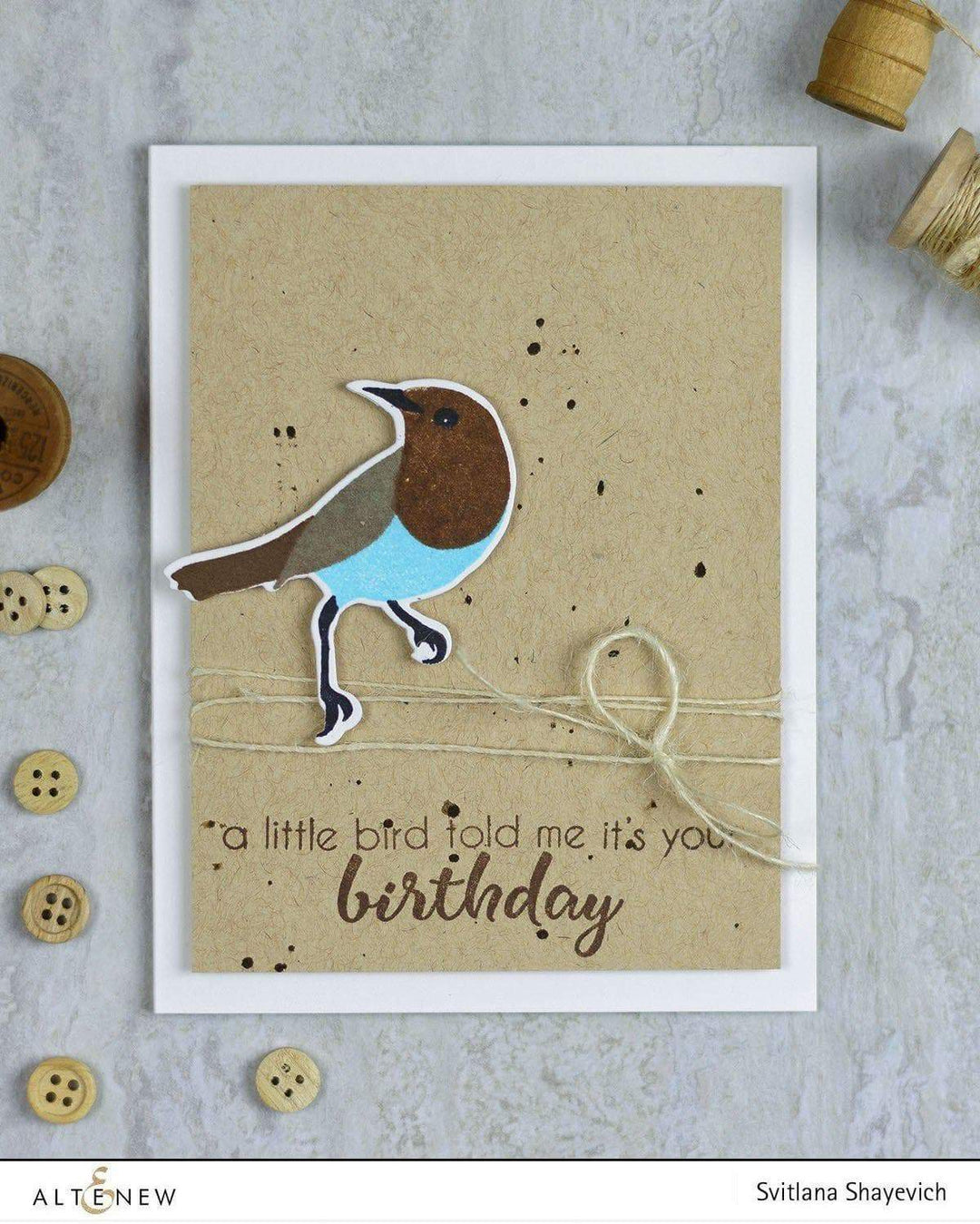 Stamp & Die Bundle Birds Of A Feather