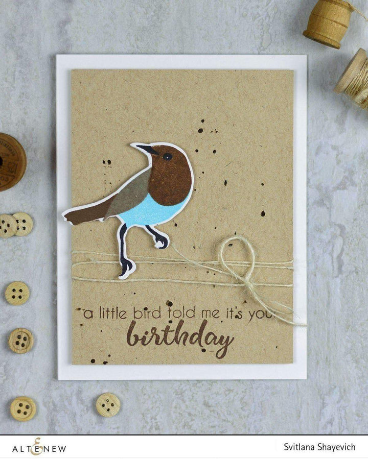 Stamp & Die Bundle Birds Of A Feather