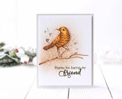 Stamp & Die Bundle Birds Of A Feather