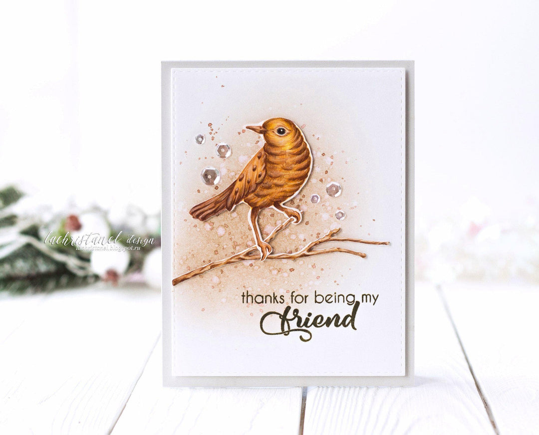 Stamp & Die Bundle Birds Of A Feather