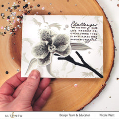 Stamp & Die Bundle Block Sentiments