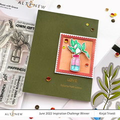 Stamp & Die Bundle Bloom With Grace