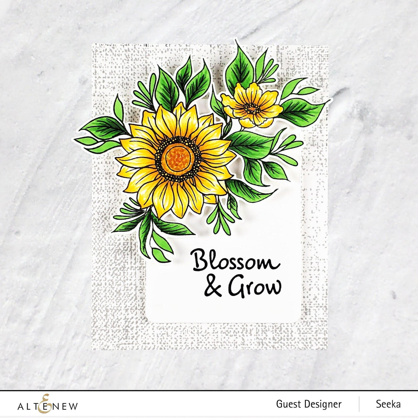 Stamp & Die Bundle Blossom & Bloom