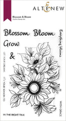 Stamp & Die Bundle Blossom & Bloom