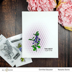 Stamp & Die Bundle Blueberry Branch