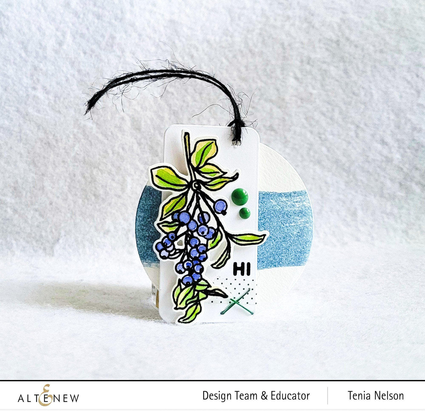 Stamp & Die Bundle Blueberry Branch