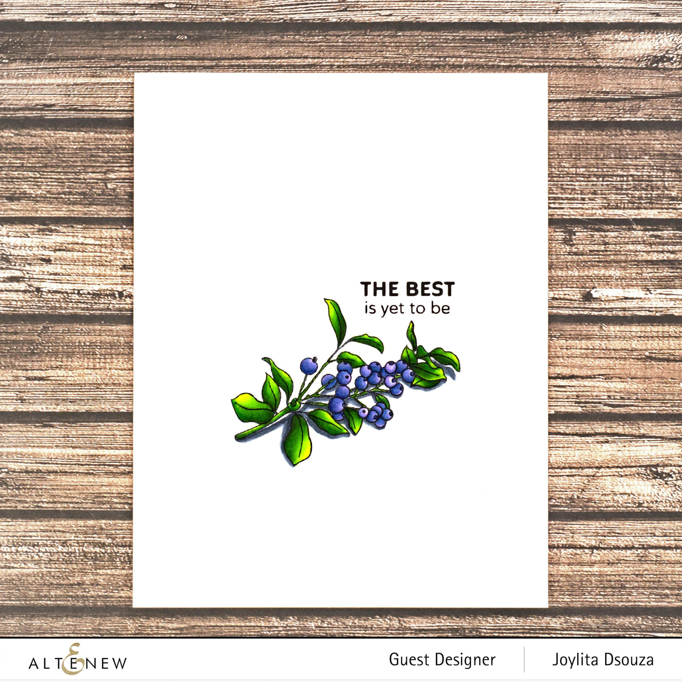 Stamp & Die Bundle Blueberry Branch