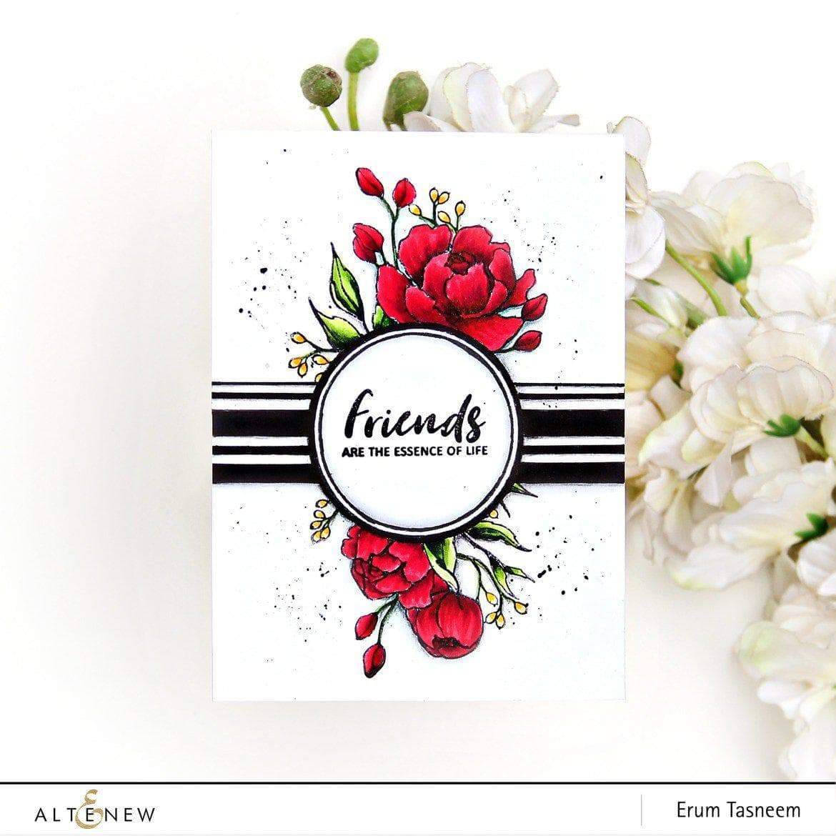 Stamp & Die Bundle Book Club