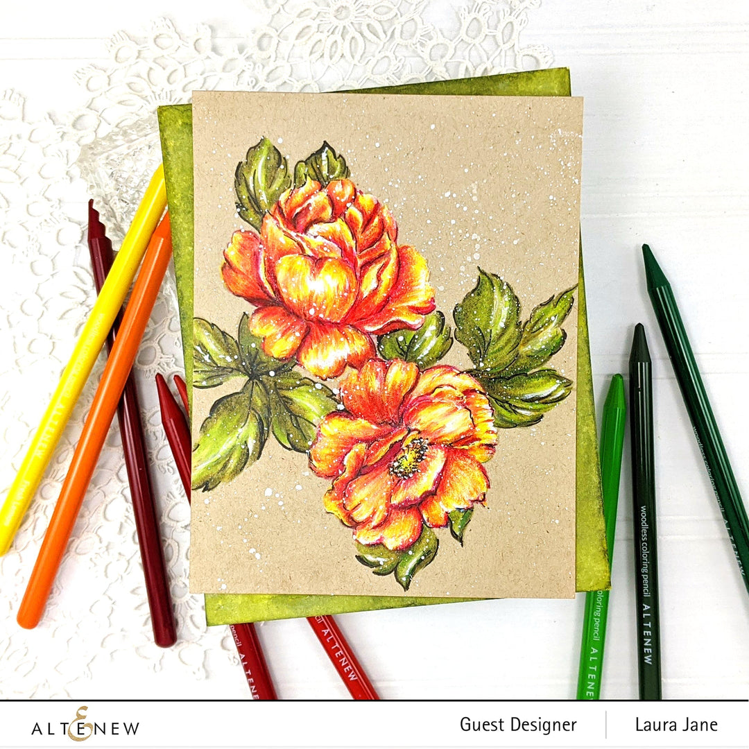 Stamp & Die Bundle Bountiful Bouquet