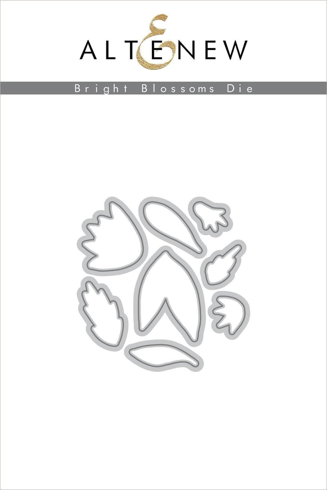 Stamp & Die Bundle Bright Blossoms