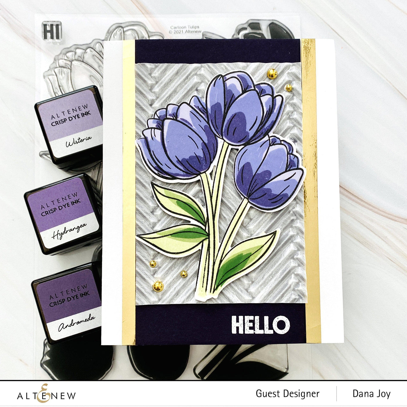 Stamp & Die Bundle Cartoon Tulips