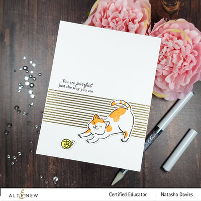 Stamp & Die Bundle Cat Life