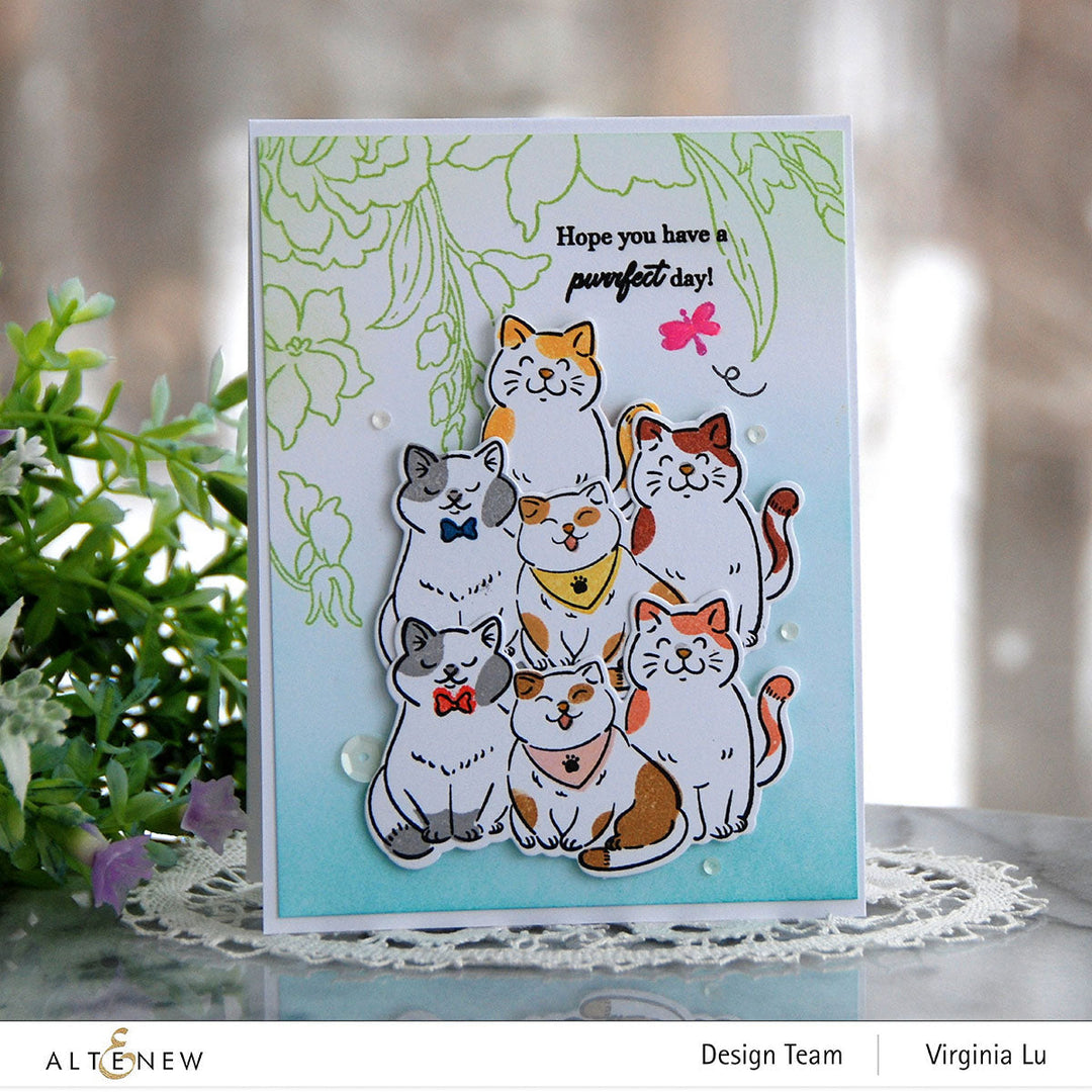 Stamp & Die Bundle Cat Life
