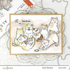 Stamp & Die Bundle Cat Life