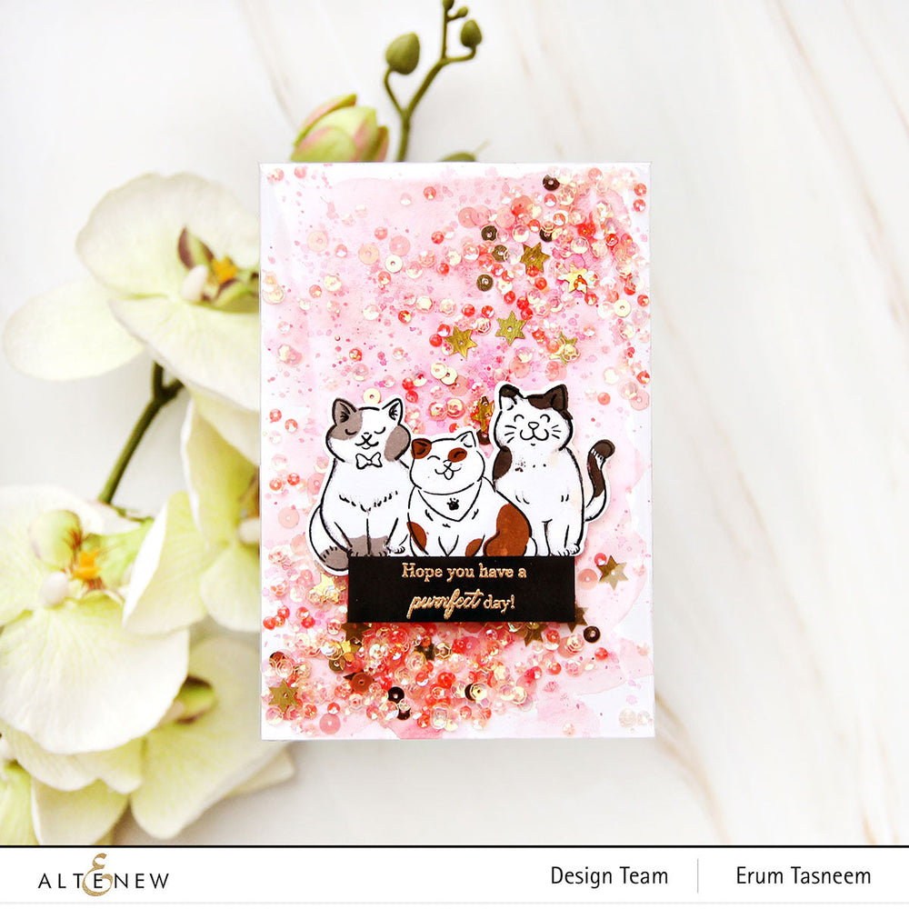 Stamp & Die Bundle Cat Life
